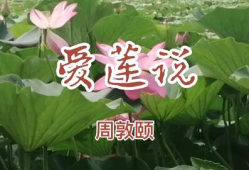爱莲说朗诵视频,爱莲说朗诵视频赏析