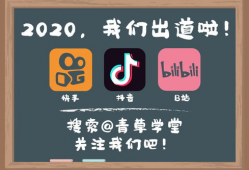 青草视频网站,探索无限精彩，畅享视听盛宴