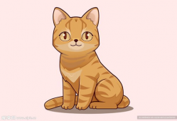 动漫的猫,动漫猫的奇幻冒险之旅