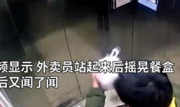 小便视频,一场关于生理现象的趣味探索