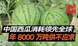 民间吃瓜爆料是真的吗,真相还是谣言？