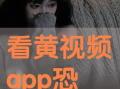 在线黄视频,暗流涌动的网络陷阱与警示