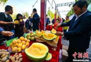 五一最新吃瓜爆料视频大全,最新爆料视频大盘点