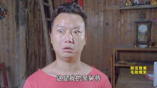 多毛视频,揭秘毛发生长的奥秘与科学探索